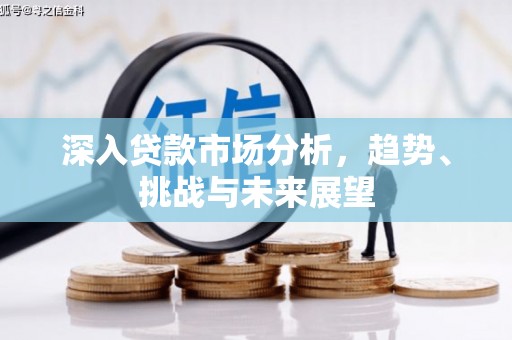 海盐深入贷款市场分析，趋势、挑战与未来展望