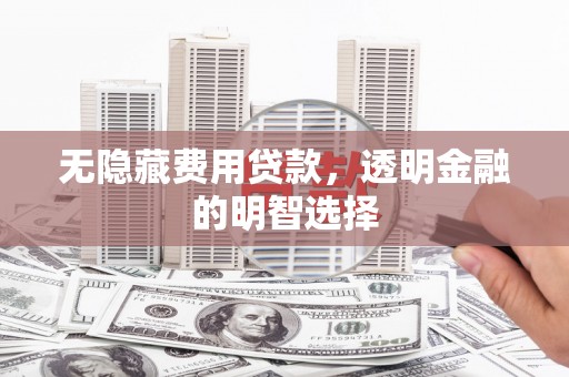 白碱滩无隐藏费用贷款，透明金融的明智选择
