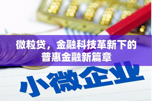 嘉定微粒贷，金融科技革新下的普惠金融新篇章