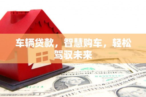 海端车辆贷款，智慧购车，轻松驾驭未来