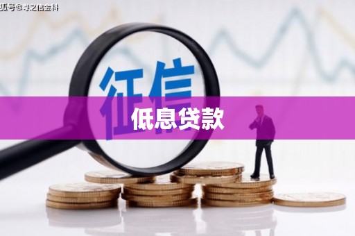 和田县低息贷款