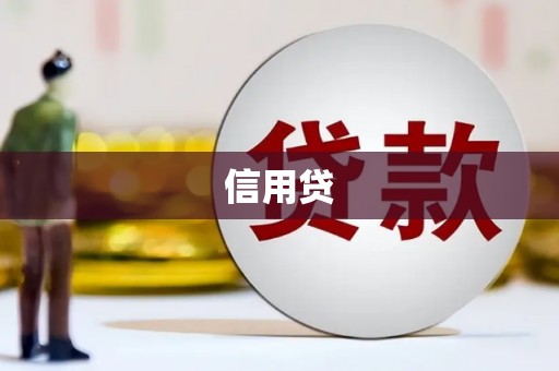 水里信用贷
