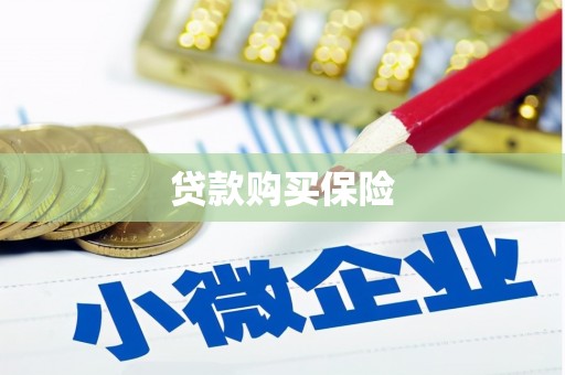 江南贷款购买保险