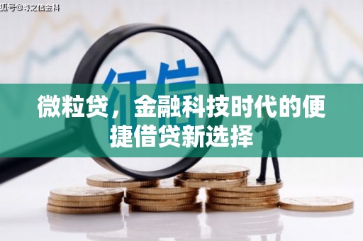 横峰微粒贷，金融科技时代的便捷借贷新选择