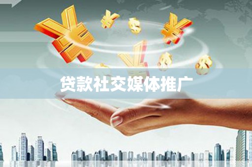 茂林贷款社交媒体推广