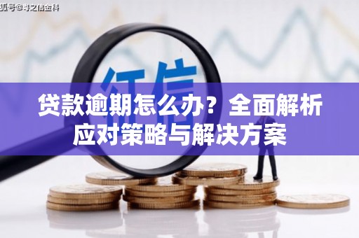 耀州贷款逾期怎么办？全面解析应对策略与解决方案