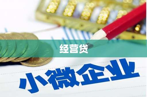 类乌齐经营贷