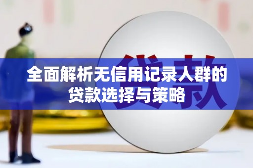 保亭全面解析无信用记录人群的贷款选择与策略