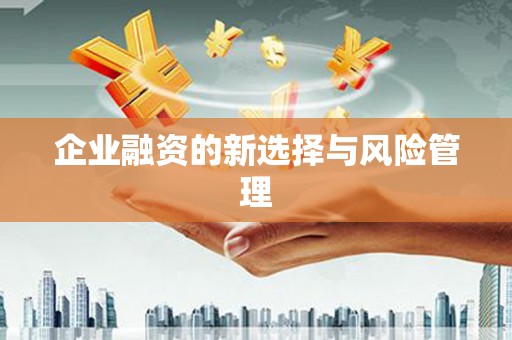 香格里拉企业融资的新选择与风险管理