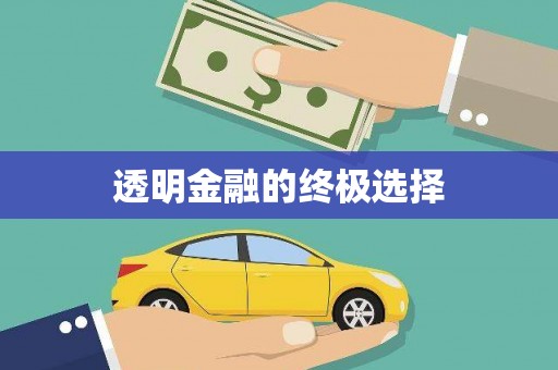 紫阳透明金融的终极选择