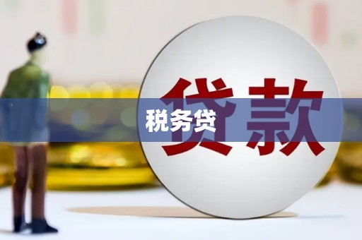 唐县税务贷