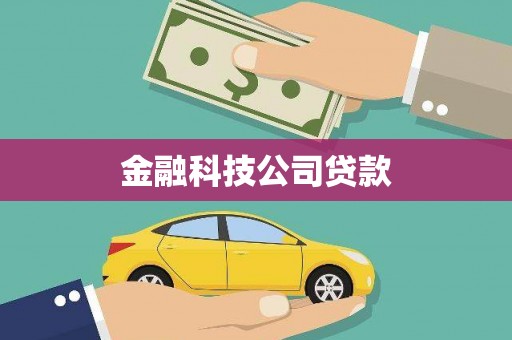 略阳金融科技公司贷款