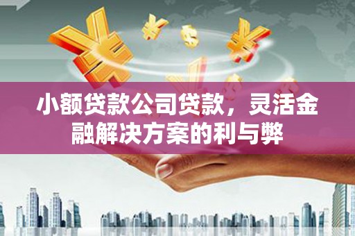 荆州小额贷款公司贷款，灵活金融解决方案的利与弊